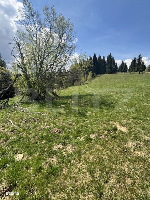 Teren in Vatra Dornei, str Rosu, 8450 mp, extravilan + intravilan