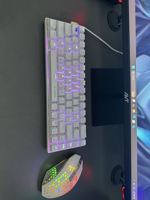 Прдается механическая игровая клавиатура и мышка в хорошем состоянии !