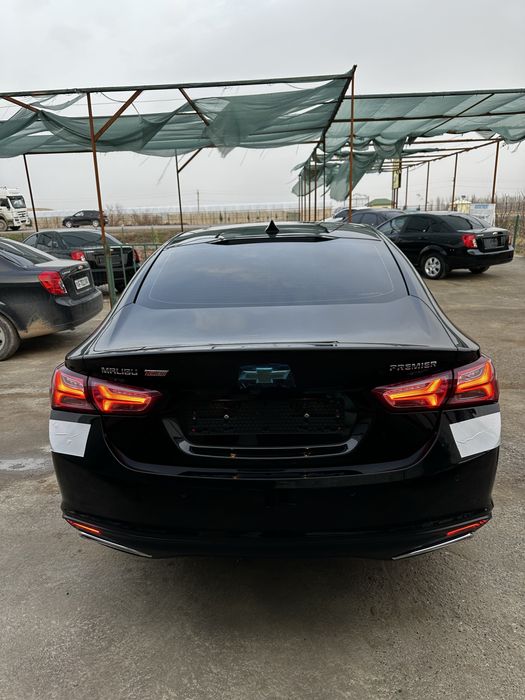 Малибу Пример Аргинал