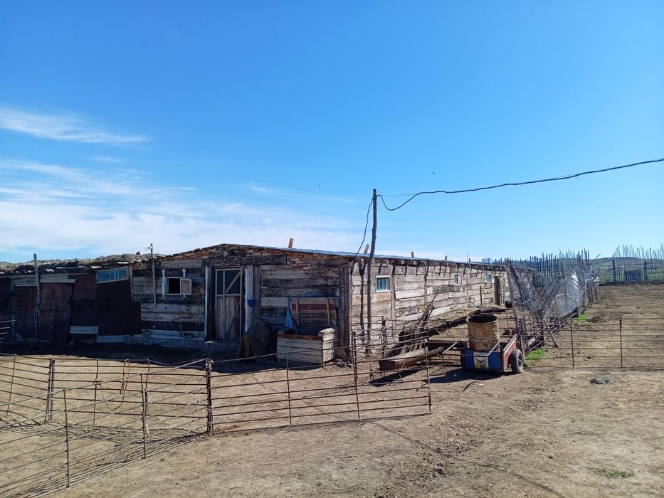 Крестьянское хозяйства,Ферма