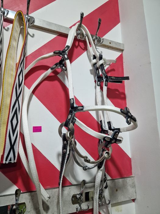 Седло в ташкент есть всё асортимент для лошада