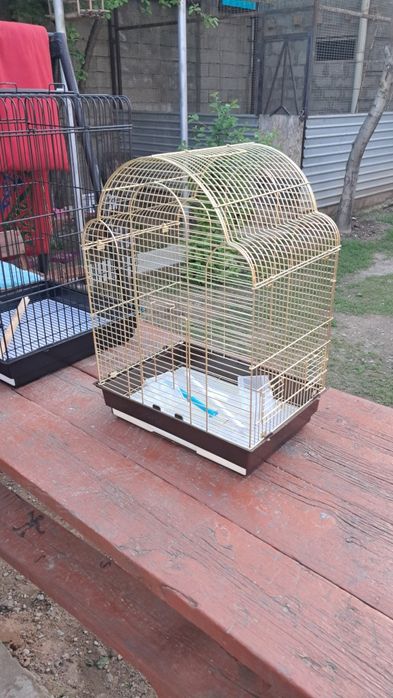 Продам большие клетки.