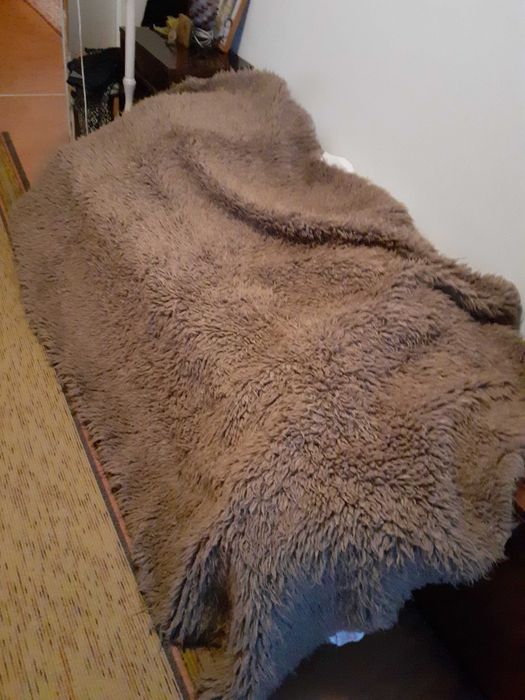 Домашен естествен губер