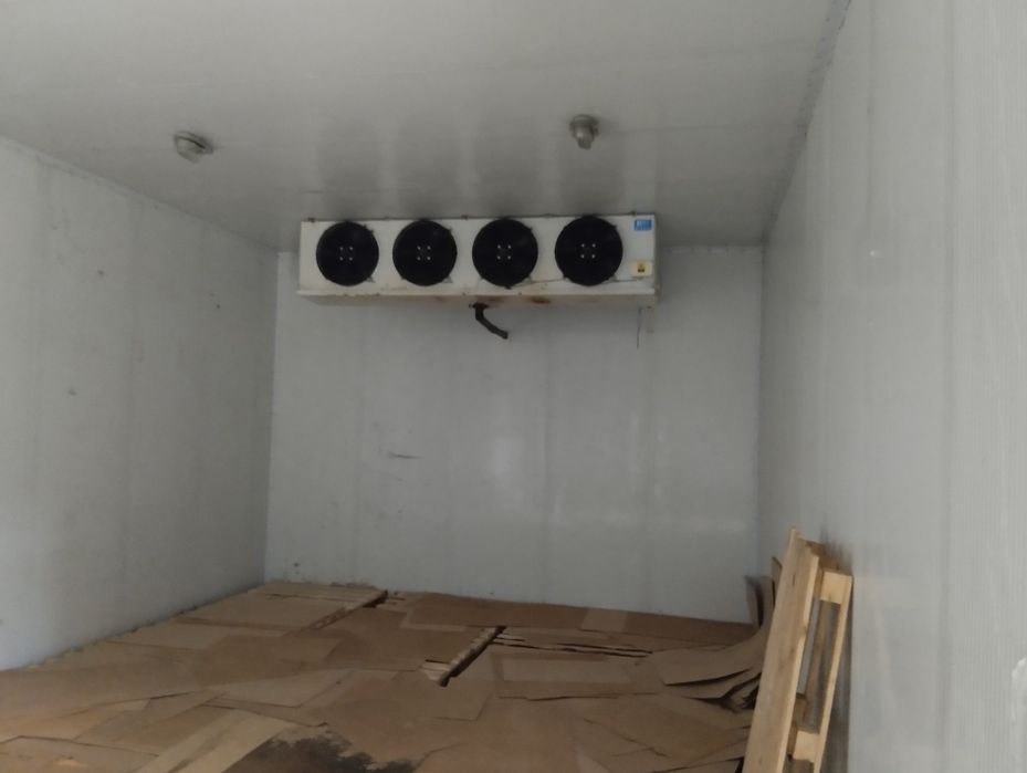 Музлатгич Тошкентда