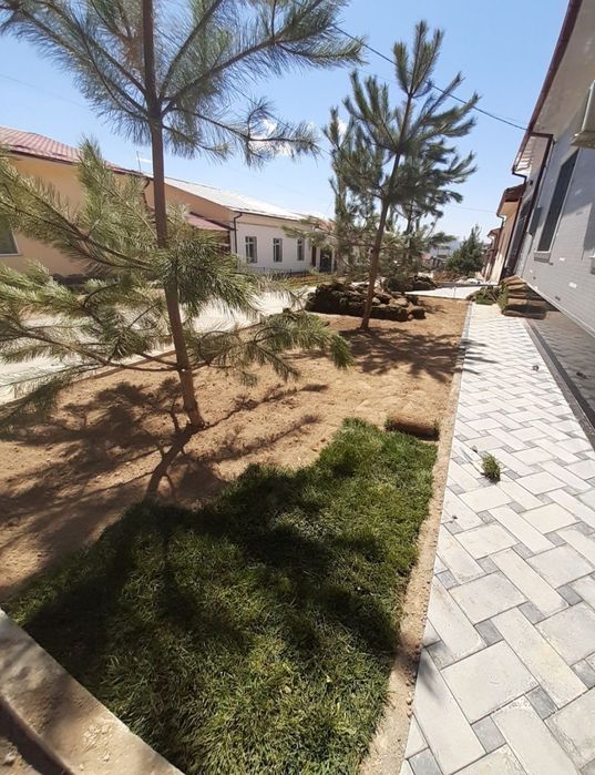 Газон Посевной! Газон рулонный