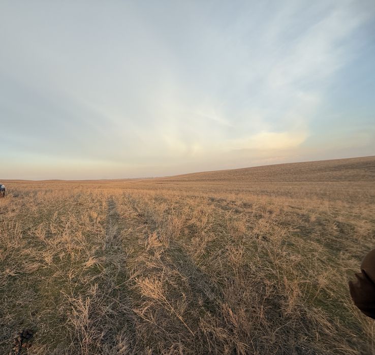 Продам участок 8,4га