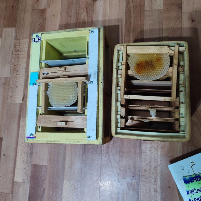 Пчеловодства , Алматы