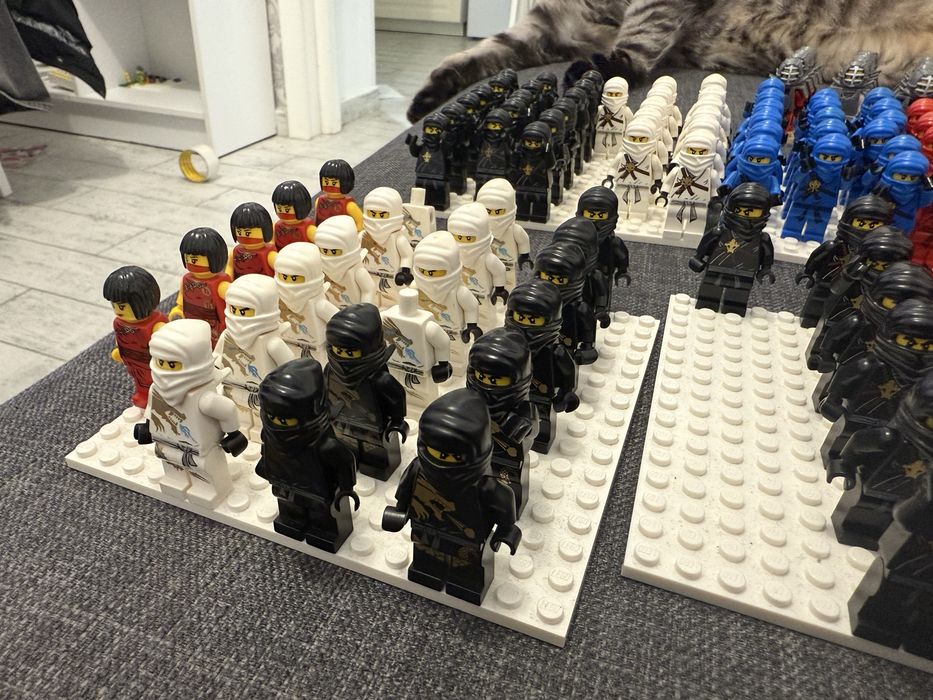 Figurine LEGO Ninjago Diverse