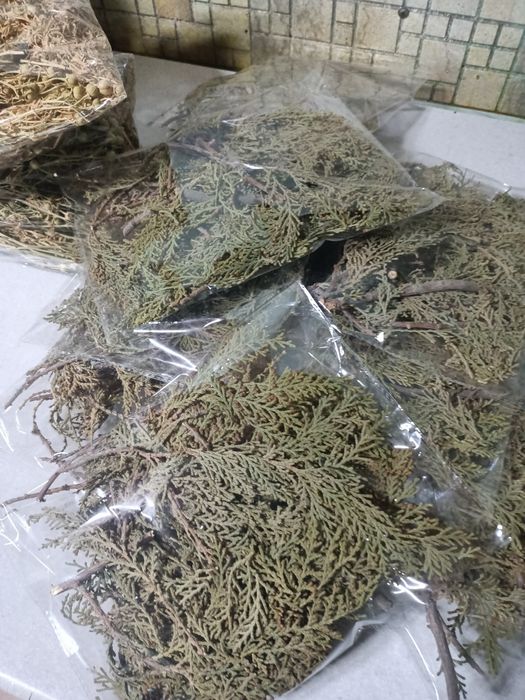 Арша, Арша, Арша