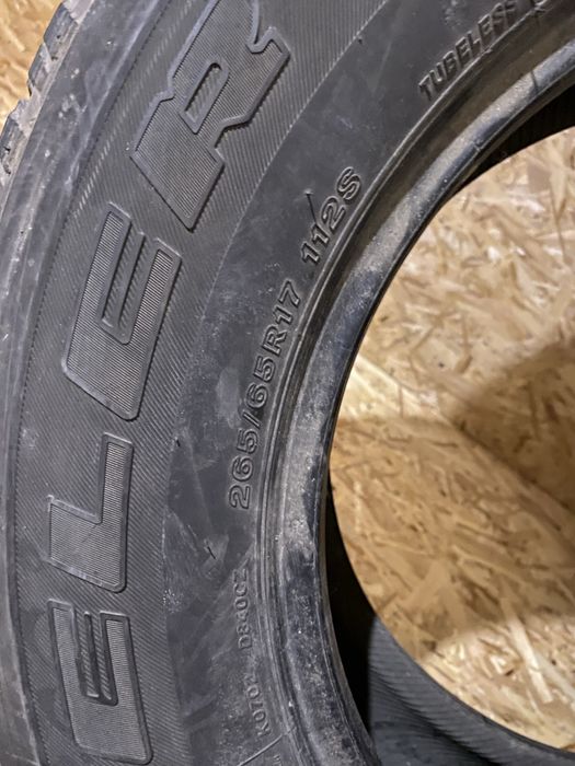 Bridgstone Резина R17