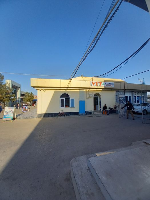 Вет услугы и аптека зоомагазин