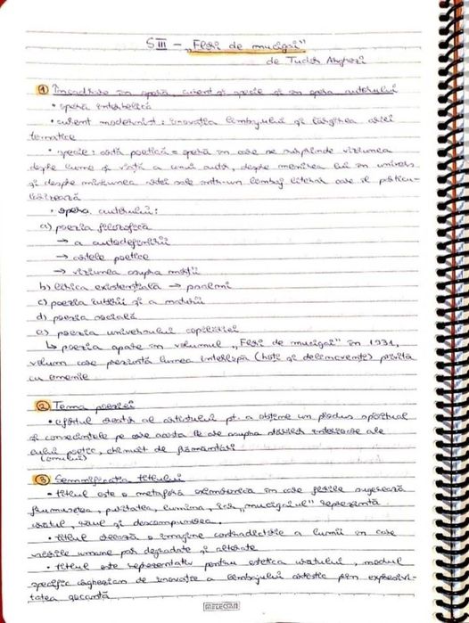 Caiet meditatii romana BAC de 10 Bucuresti Sectorul 3 • OLX.ro