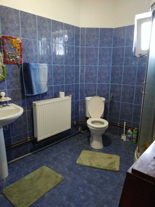 Proprietate deosebită cu casă spațioasă și teren generos în Ulmi, Dâmbovița la 2Km de Târgoviște spre București