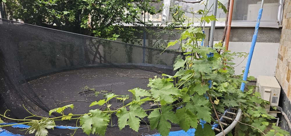 Батут 3.66м употребяван 2г.