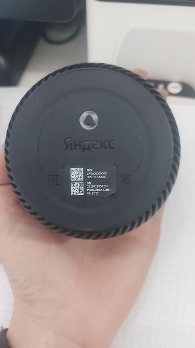 Алиса умный калонка