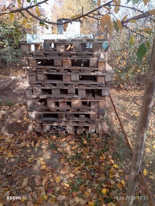 Продам поддоны срочно