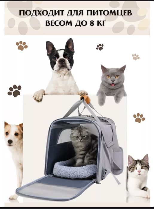 Переноска - сумка