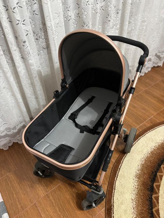 Carucior little bird 2 in 1