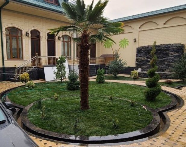 газон экиш полив система