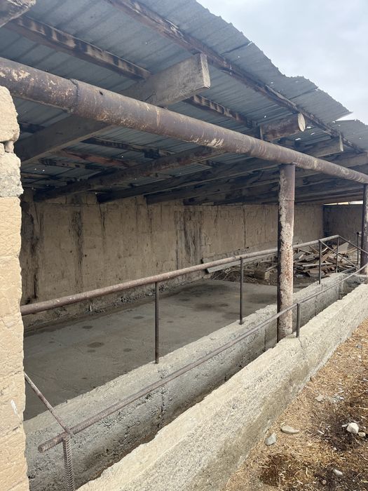 Откорм площадкаға арналған дача