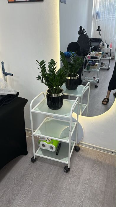 Сдается кушетка в аренду