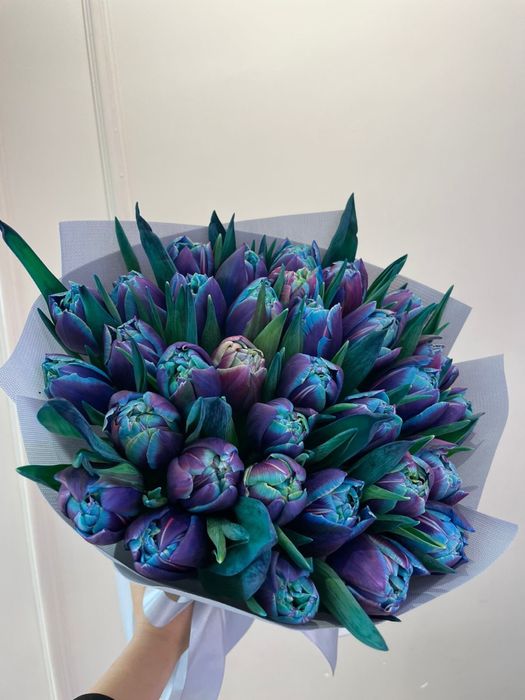 Беларусь тюльпаны оптом