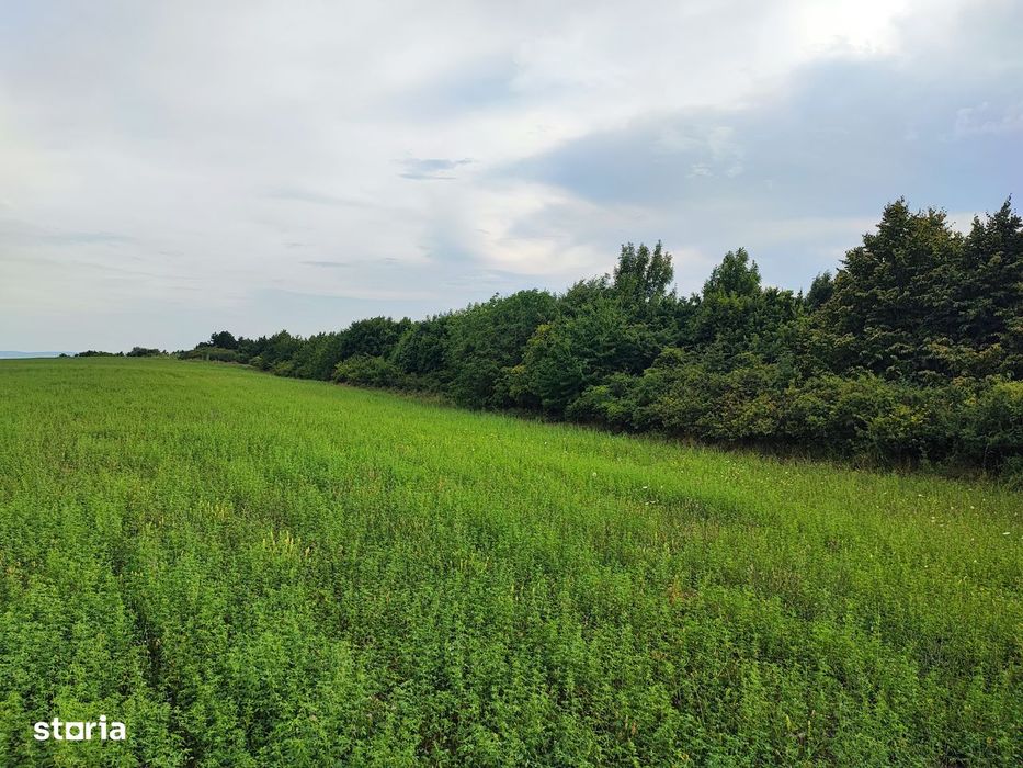 Teren 1050 mp Dealul Fanatelor/ zona Auchan