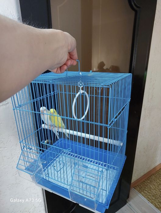 Попугайчики клеткой корм минералы