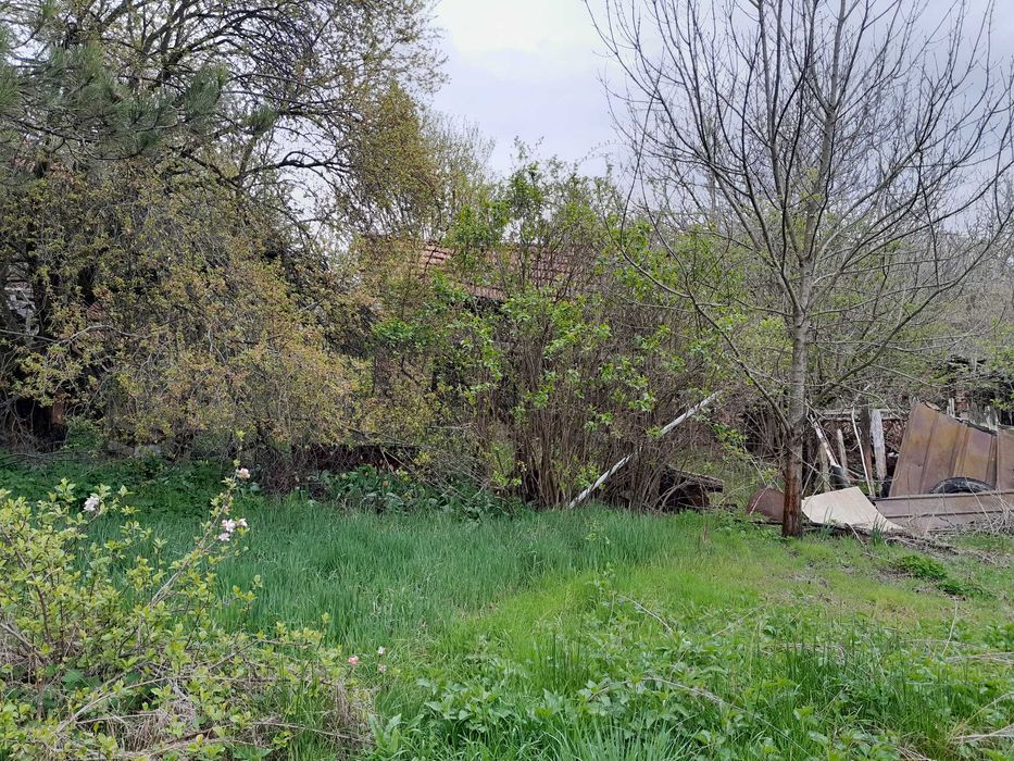 Продава се Парцел в Монтана, Пъстрина - 1625 кв.м за 5 €/кв.м - Снимка #5