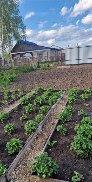 Продам дом на 6-м районе