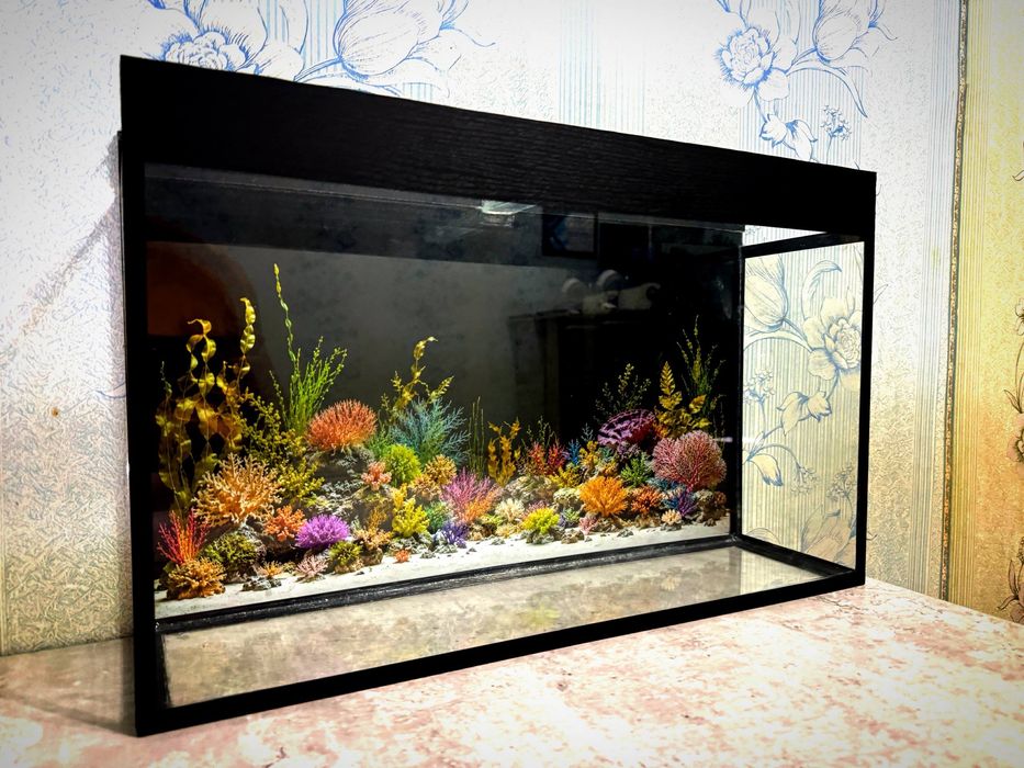 Akvarium sotiladi | 58,5×37×16 sm