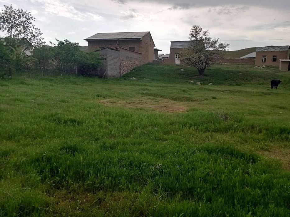 Дача 16 сотих кадастр хужжатлари бор