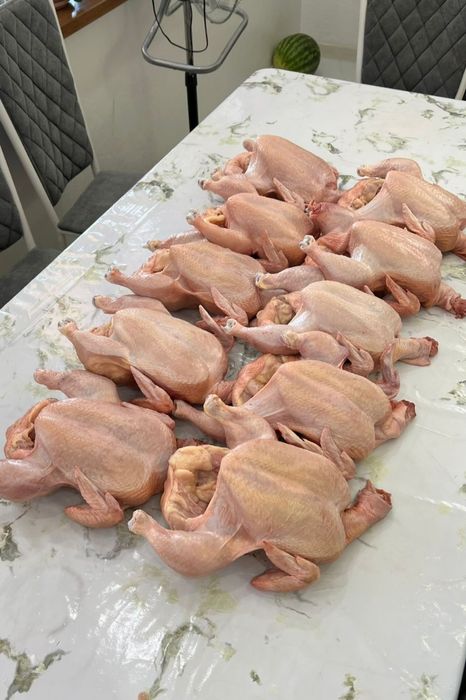 Мясо домашней птицы