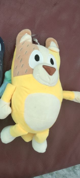 Pleacă Bingo spre alt copilaș