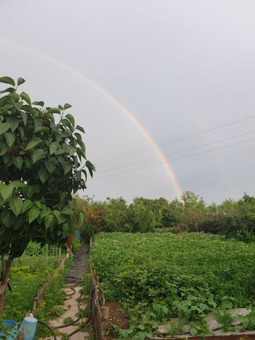 Продаю дачу Каучук.