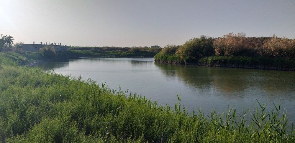 Баликхона + товукхона 4.5 гектарга  эга ер майдони сотилади