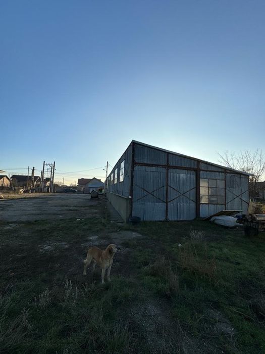 Chirie Hală 180 mp cu teren aferent