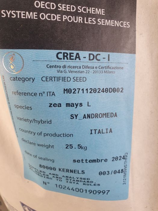 Продам семена кукурузы