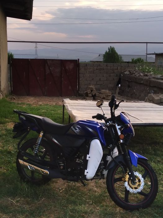 Alpha champ moped 125kub