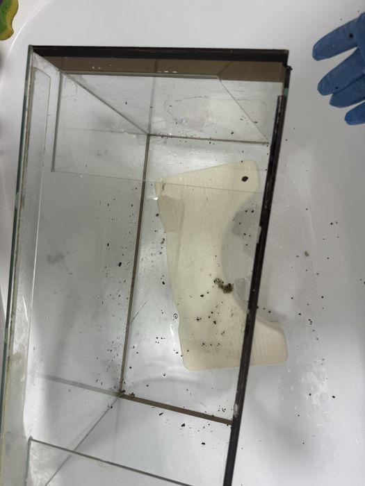 Отдам аквариум с крышкой