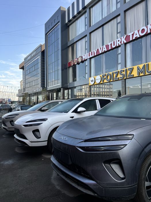 Byd Sea lion 06 605 km full