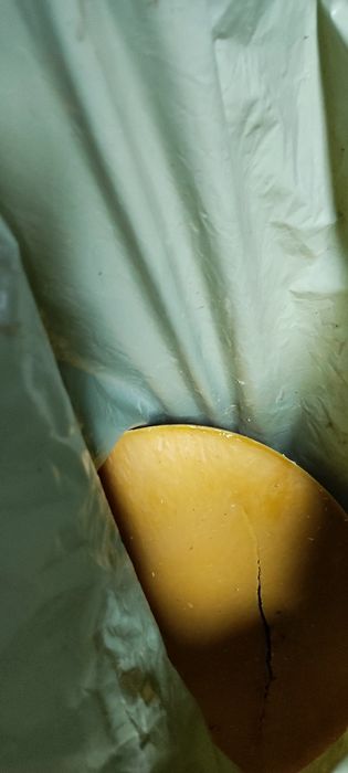 П ч е л е н  в о с ъ к