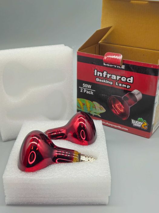 Инфрачервени нагревателни крушки за терариум 50W – комплект 2 броя