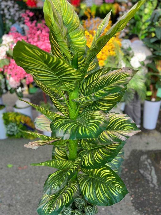 Декоративное дерево — искусственное, как живое