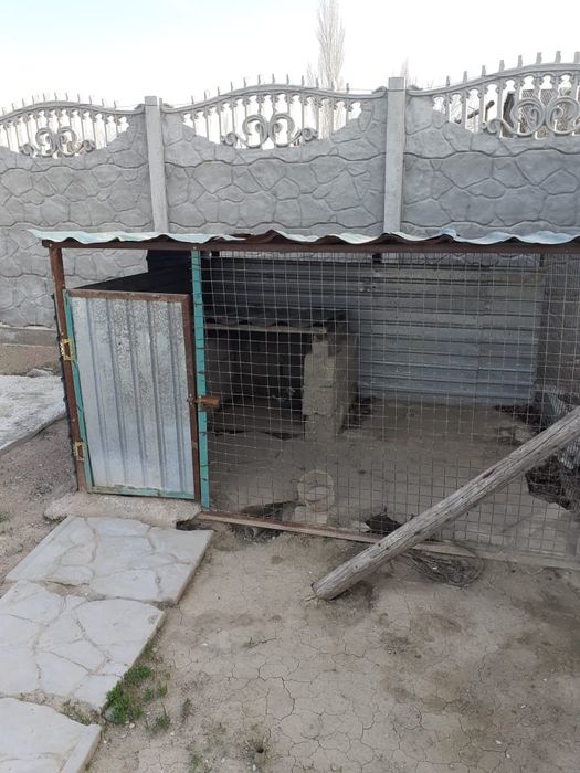 Валер.  для   собак