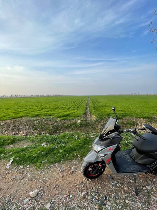 Samuray    150cc