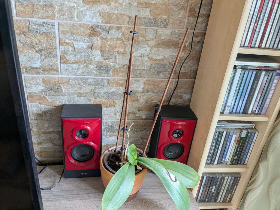 V51, активна система 5.1, USB, SD, AUX,Червено