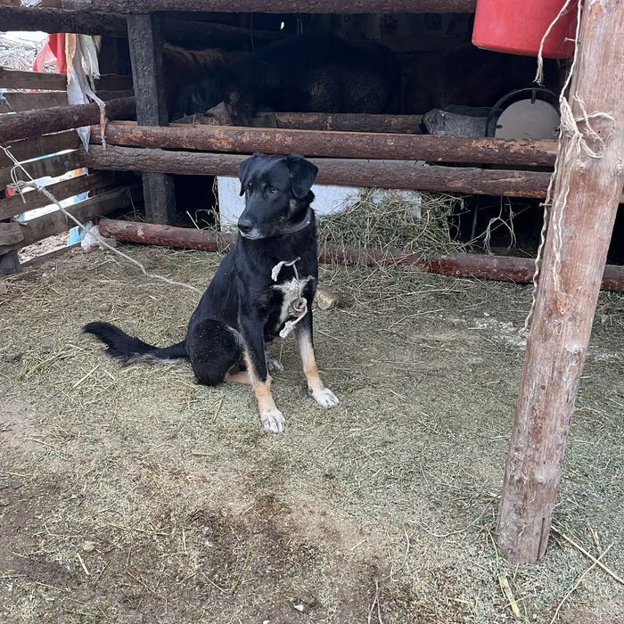 Осы тобет сатылады