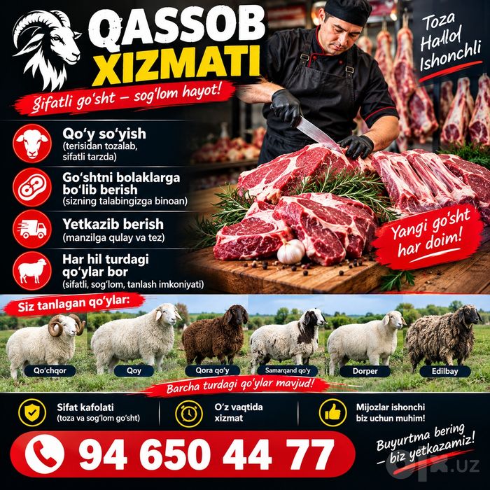 Qassob hizmati halol sifatili qoy doyib beramiz