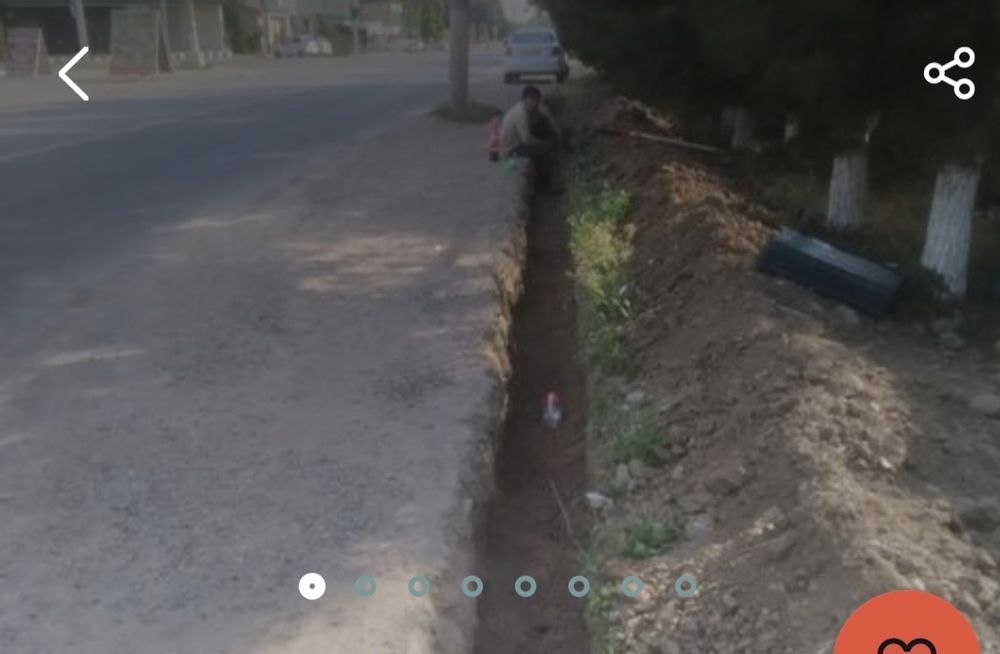 Stashka Tirasha bardiyor